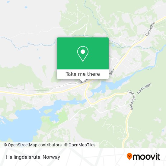 Hallingdalsruta map