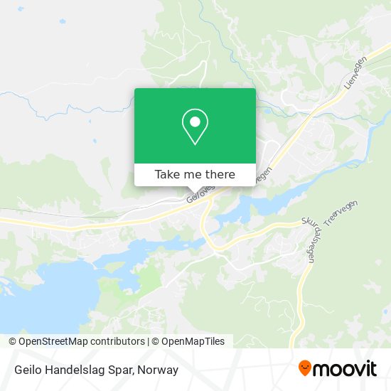 Geilo Handelslag Spar map