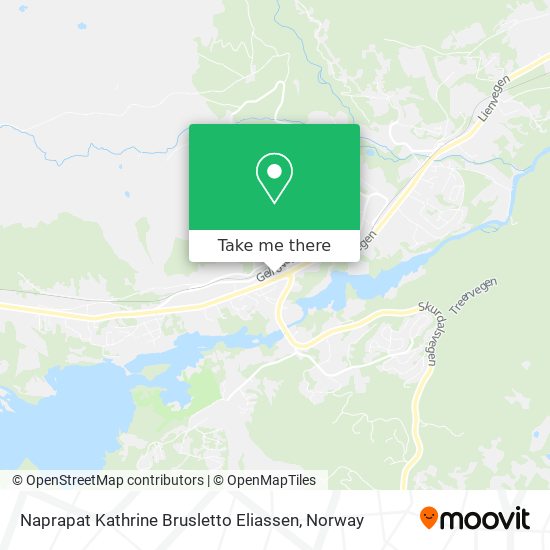 Naprapat Kathrine Brusletto Eliassen map