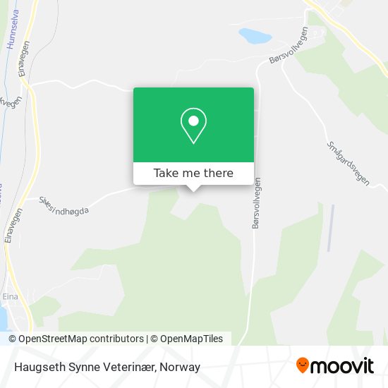 Haugseth Synne Veterinær map