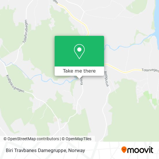 Biri Travbanes Damegruppe map