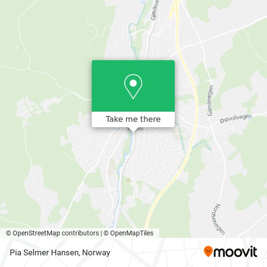 Pia Selmer Hansen map