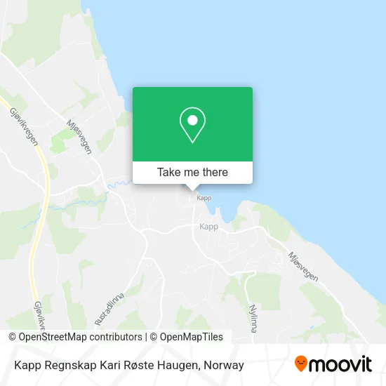 Kapp Regnskap Kari Røste Haugen map