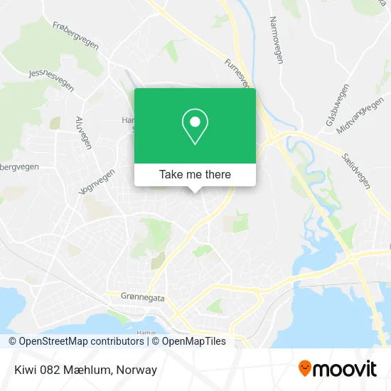 Kiwi 082 Mæhlum map