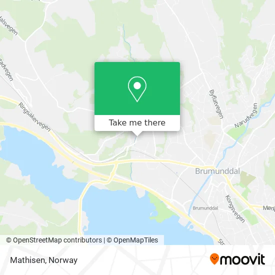 Mathisen map