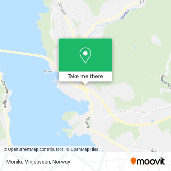 Monika Vinjusveen map