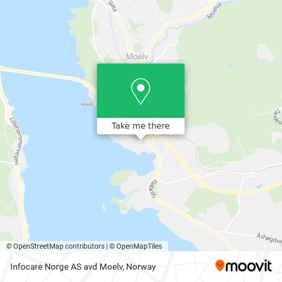 Infocare Norge AS avd Moelv map
