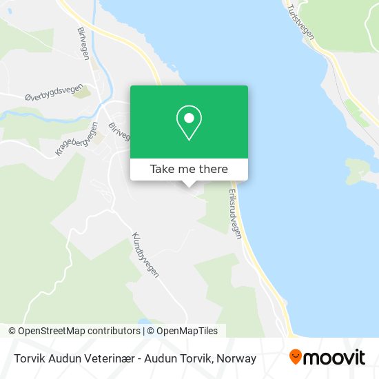 Torvik Audun Veterinær - Audun Torvik map
