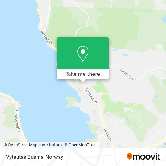 Vytautas Busma map