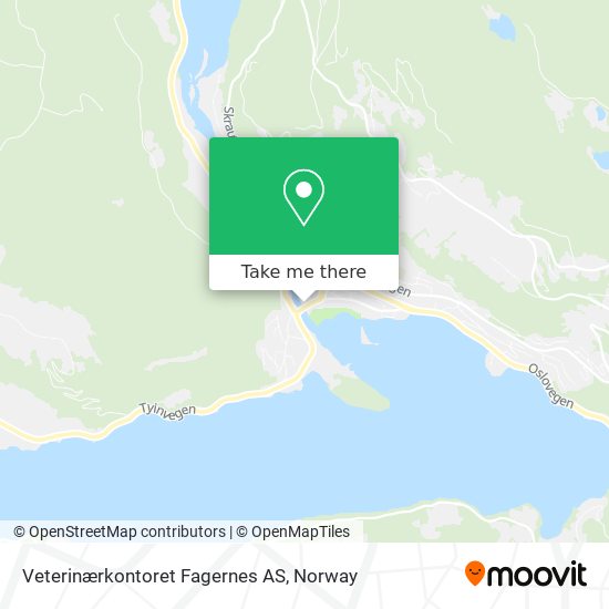 Veterinærkontoret Fagernes AS map