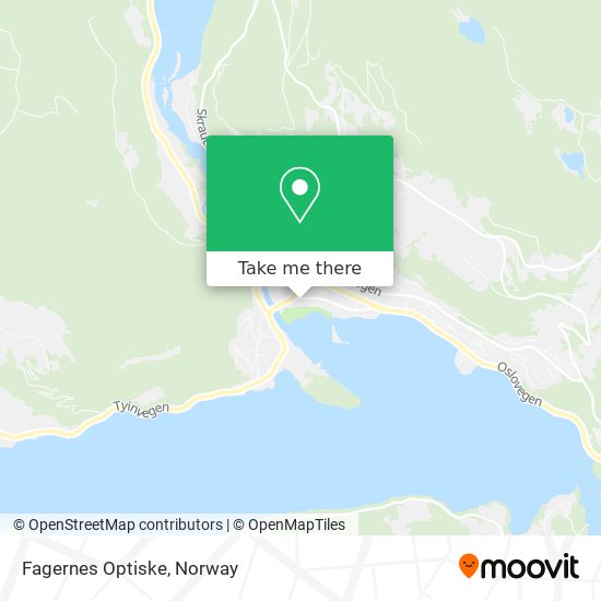 Fagernes Optiske map