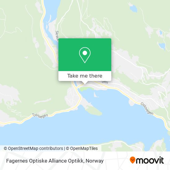 Fagernes Optiske Alliance Optikk map