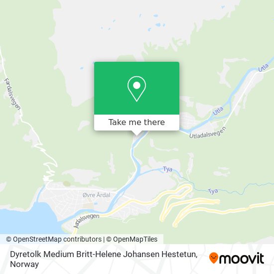 Dyretolk Medium Britt-Helene Johansen Hestetun map