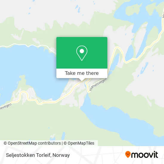 Seljestokken Torleif map