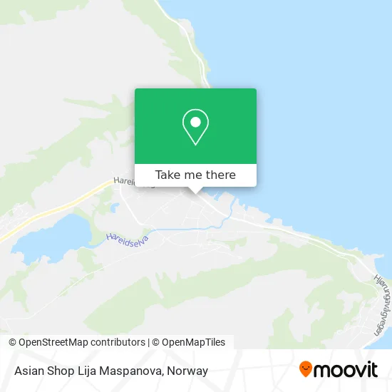 Asian Shop Lija Maspanova map