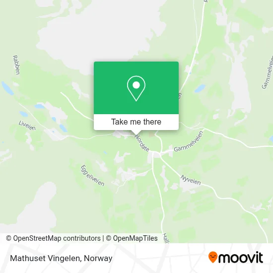 Mathuset Vingelen map