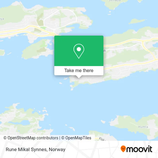Rune Mikal Synnes map