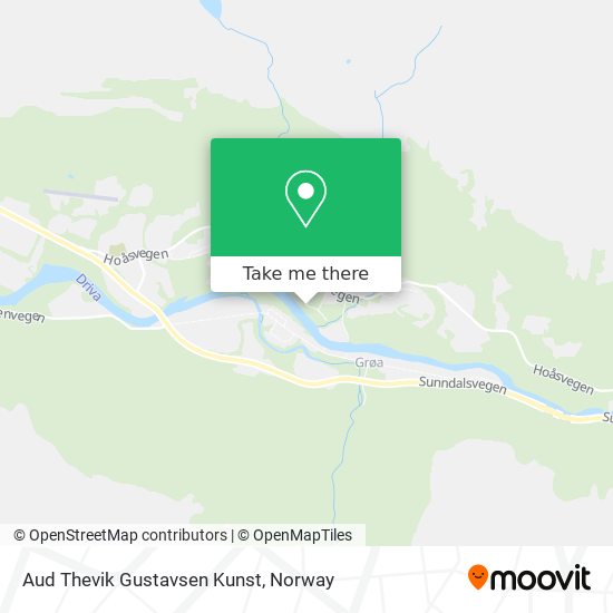 Aud Thevik Gustavsen Kunst map