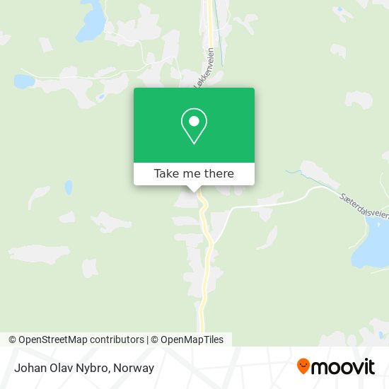 Johan Olav Nybro map