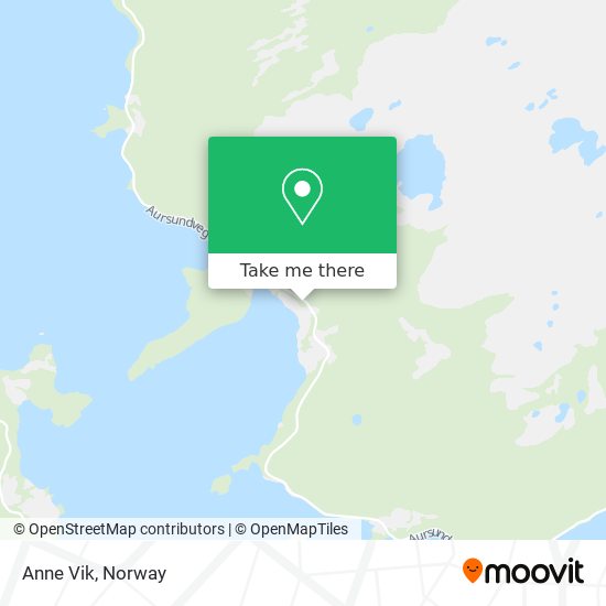 Anne Vik map