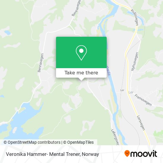 Veronika Hammer- Mental Trener map