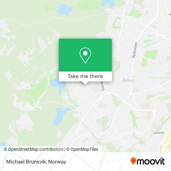 Michael Brunsvik map