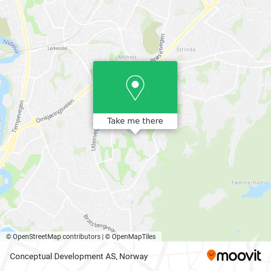 Conceptual Development AS map