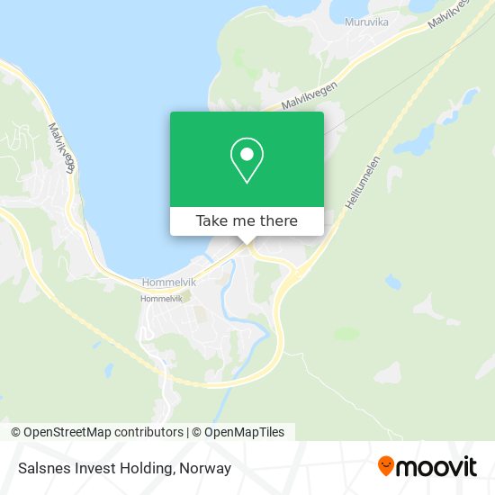 Salsnes Invest Holding map