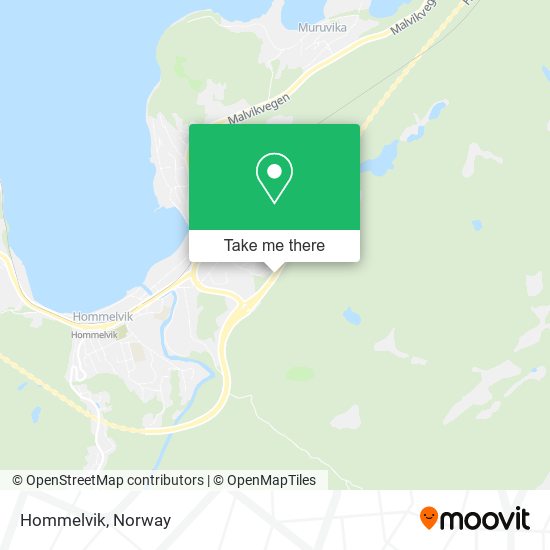 Hommelvik map