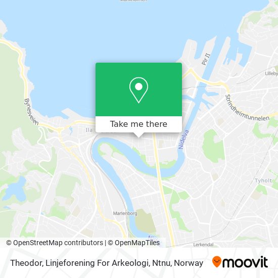 Theodor, Linjeforening For Arkeologi, Ntnu map