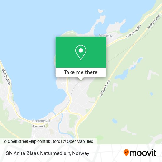 Siv Anita Øiaas Naturmedisin map
