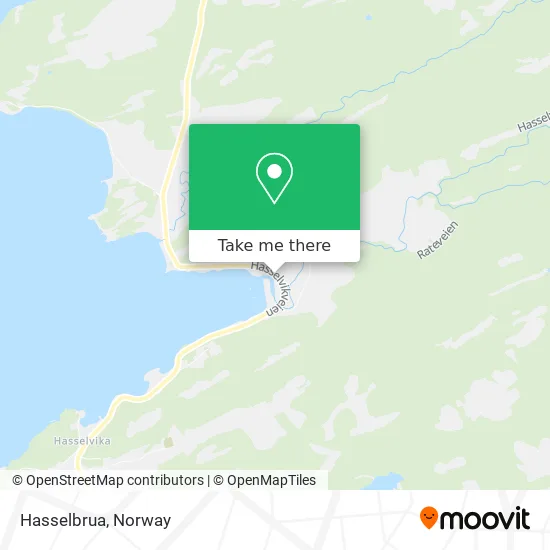 Hasselbrua map