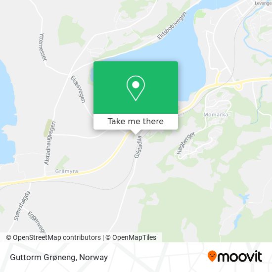 Guttorm Grøneng map