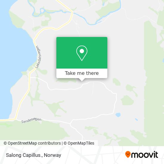 Salong Capillus. map
