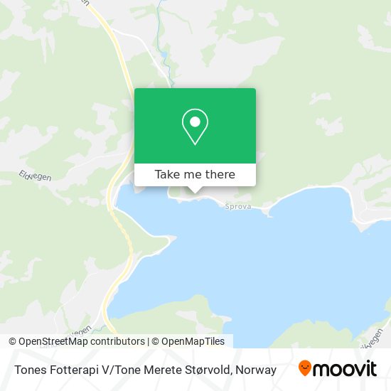 Tones Fotterapi V / Tone Merete Størvold map