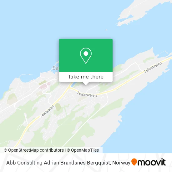 Abb Consulting Adrian Brandsnes Bergquist map