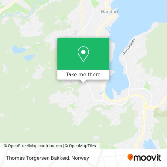 Thomas Torgersen Bakkeid map