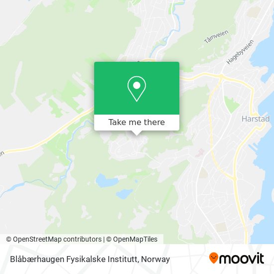 Blåbærhaugen Fysikalske Institutt map