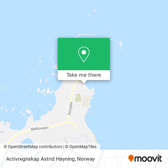 Activregnskap Astrid Høyning map