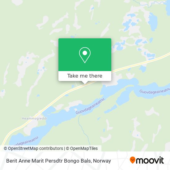 Berit Anne Marit Persdtr Bongo Bals map