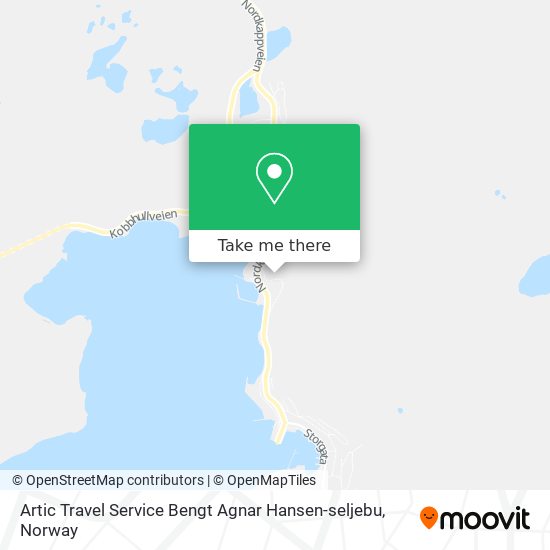 Artic Travel Service Bengt Agnar Hansen-seljebu map