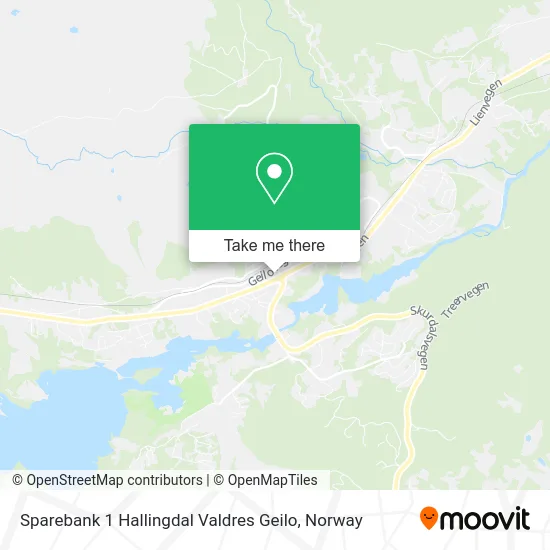 Sparebank 1 Hallingdal Valdres Geilo map