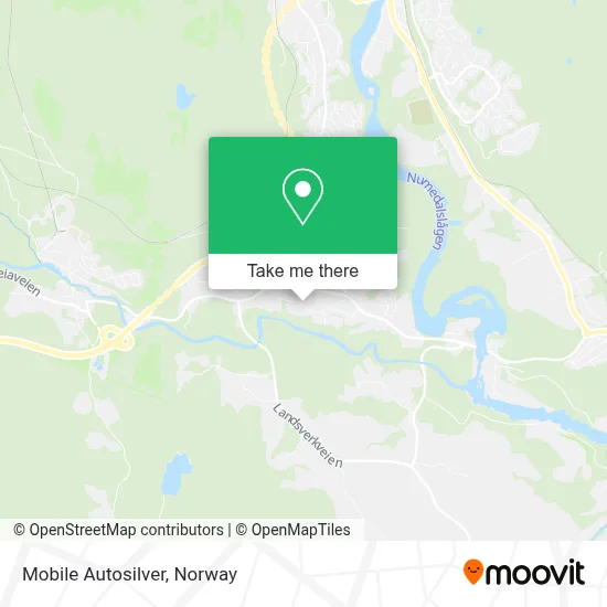 Mobile Autosilver map