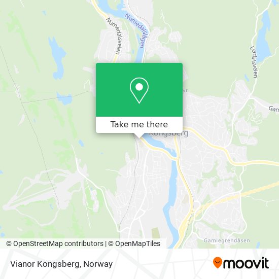 Vianor Kongsberg map