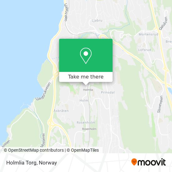 Holmlia Torg map