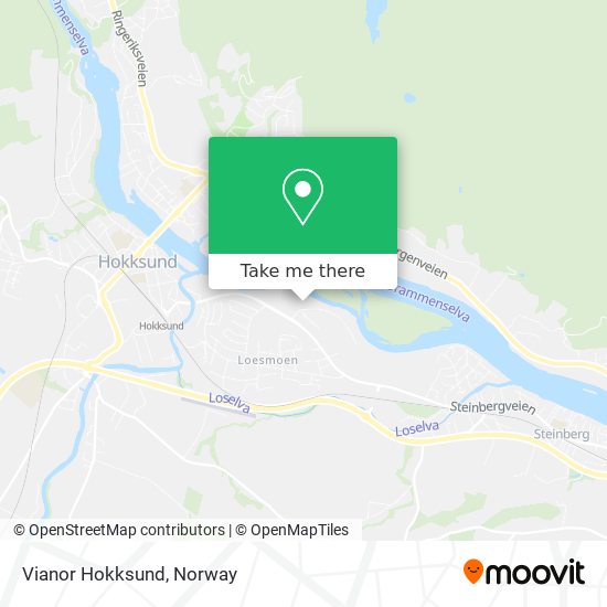 Vianor Hokksund map