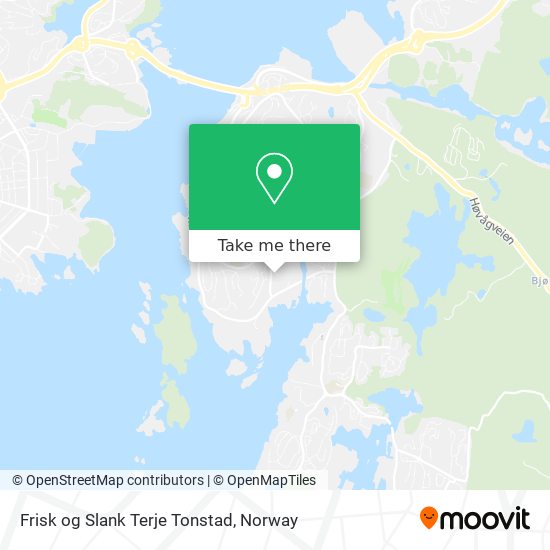 Frisk og Slank Terje Tonstad map