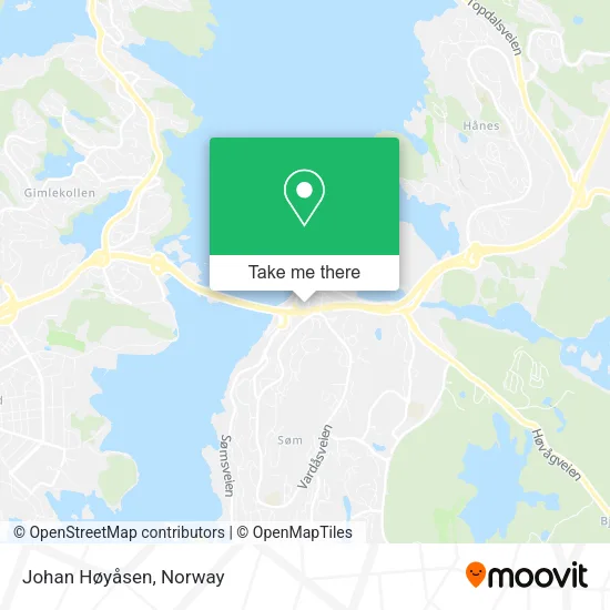 Johan Høyåsen map