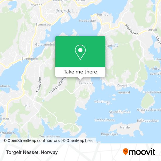 Torgeir Nesset map