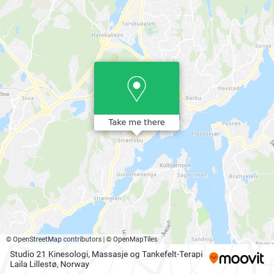 Studio 21 Kinesologi, Massasje og Tankefelt-Terapi Laila Lillestø map